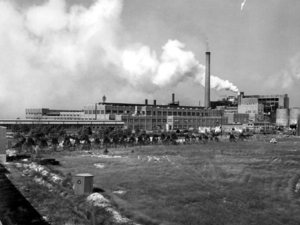 Our leaders look to the past, but it’s not a pretty picture