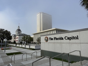 Florida Developmental Disabilities Council executive director steps down