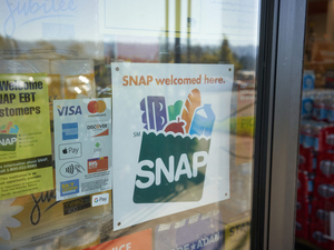 Florida Democrats press DeSantis administration for details about AI contract for SNAP