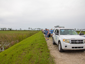Now hitting deadline, Florida flunks Everglades pollution cleanup