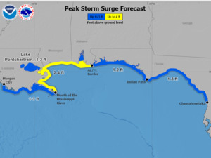 Tropical depression expected to become storm; storm surge expected for Panhandle
