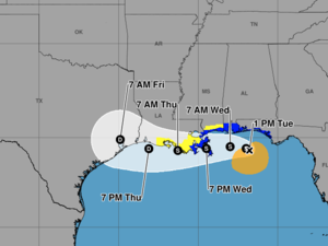 Tropical Storm Bertha may bring flash floods and rainfall to west Florida