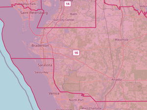 Race to succeed Vern Buchanan in CD 16 is getting increasingly interesting