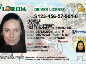 The story Florida’s new driver licenses tell ain’t necessarily so