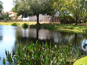 New Florida stormwater rules don’t fix our pollution problem