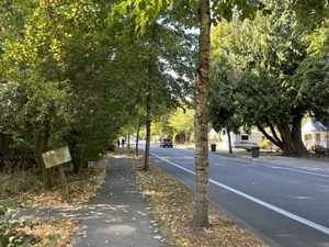 Urban tree funding axed in WA House budget proposal