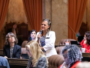 Ethics panel: WA lawmaker broke no rules trying to thwart challenge from fellow Democrat