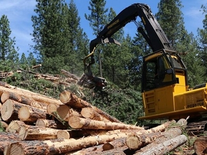 Rural Washington schools struggle with drop in logging dollars