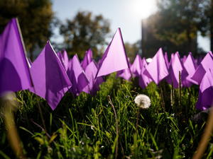 What a missing $150 million means for domestic violence services