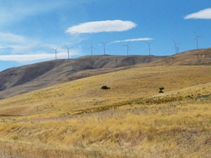 Rising tension in central WA as farmland is eyed for energy and data center projects