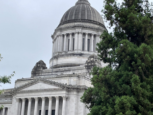 Developmental disabilities program for WA families to be cut, but not ended