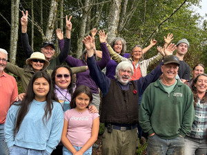 Trees in coastal temperate rainforest spared from the chopping block