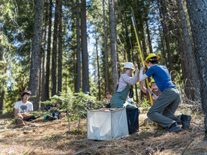 California can’t replant its forests fast enough to keep up with wildfires