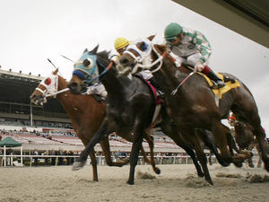 California to buy defunct horse track and turn it into the Bay Area’s newest public park