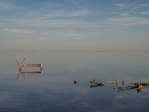 California politicians promised white gold in ‘Lithium Valley’. But are those dream fading?