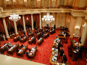 How a gym, a farmers market and MMA fighters landed millions in Newsom’s last budget