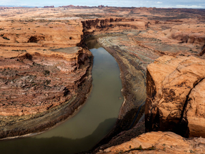 Invasive zebra mussels have made their way to the Utah portion of the Colorado River