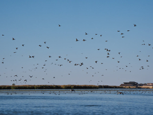 What do you want to know about the Great Salt Lake?