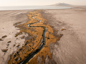 With eyes on the Great Salt Lake, water conservation advocates will remove Governor’s Mansion turf