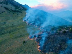 Firearm target shooting temporarily banned in these wildlife areas across 16 Utah counties