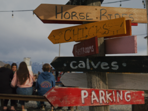 Agritourism is growing in Utah but it hasn’t reached its full potential, new study says
