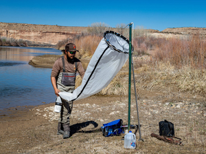 New testing has Utah worried about zebra mussel spread in the Colorado River  