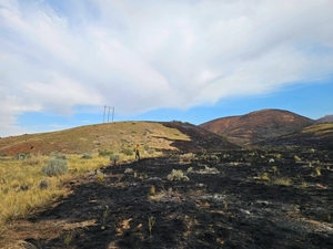 Utah’s intense, dangerous fire season could be its most expensive