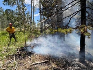 More Utah forests are burning than ever before. Here’s why that matters