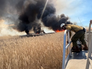 Utah’s strategy to fight invasive reeds at the Great Salt Lake? Play the long game and look upstream