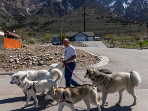 Struggles in the shelter: Volunteers, ex-employees frustrated by Weber County Animal Services
