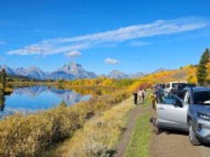 Grand Teton National Park's iconic Oxbow Bend is an irresistible photo stop for many visitors particularly in the fall. (Rebecca Huntington/WyoFile)