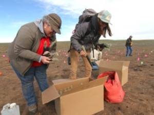 Restoring Wyoming’s largest 2026 fire scar, one sagebrush seedling at a time