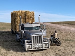 ‘Extreme drought,’ record-breaking heat confront Wyoming ranchers with difficult choices