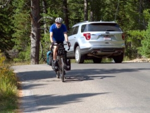 A cyclist rides the Moose-Wilson Road in Grand Teton National Park. (Angus M. Thuermer Jr./WyoFile)