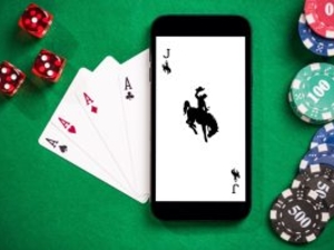 Wyoming lawmakers take steps to further restrict online gaming