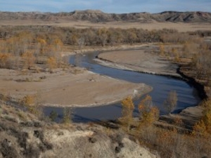 Bright colors and bold stripes: Meet the lesser known denizens of Wyoming’s prairie streams