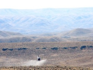 Destructive ventenata — arguably worse than cheatgrass — sweeps west across Wyoming