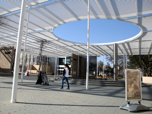 Pro-Palestinian protestors sue UT Dallas leaders, police officers over alleged punishment