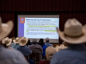 Where is screwworm in Texas? Track cases here.