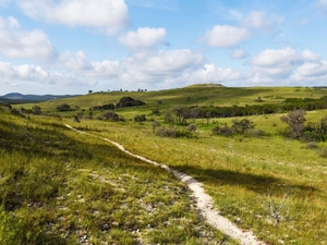 Balcones Canyonlands wildlife refuge, home to endangered songbird, adds more than 600 acres
