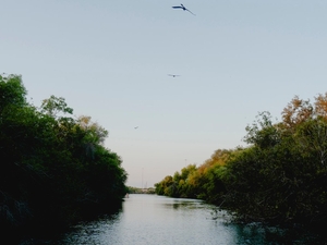 River authority’s budget woes are another blow to water-needy Corpus Christi
