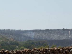Fire crews fully contains North Texas wildfire, which continues to burn three weeks later