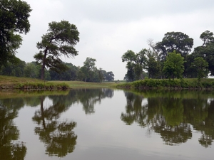 Institute launches in East Texas to address the region and state’s largest water challenges