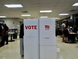 Primary voter turnout down, state election results show