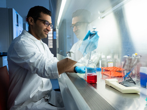 North Dakota university research could see ‘devastating’ cuts, officials warn