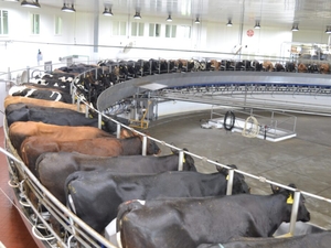 Landowner group sues over Wahpeton water sale for large dairy