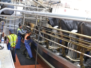 Opponents of giant North Dakota dairy argue for permit reversal