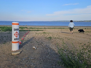 Shrinking lake, shrinking access: Low water on Sakakawea tough on resorts, boaters
