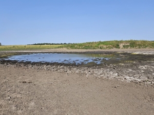 North Dakota expands drought assistance for livestock