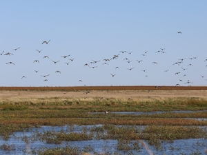 Game, Fish and Parks doesn’t disclose employee’s landowner status in lake refuge repeal